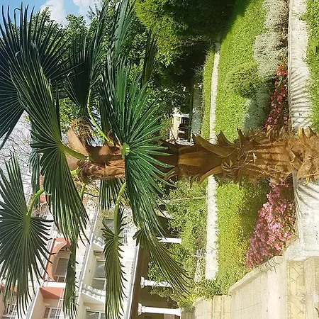 Elit Palace And 4* Balcsik