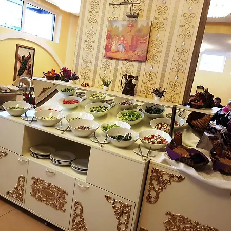 酒店 Elit Palace And